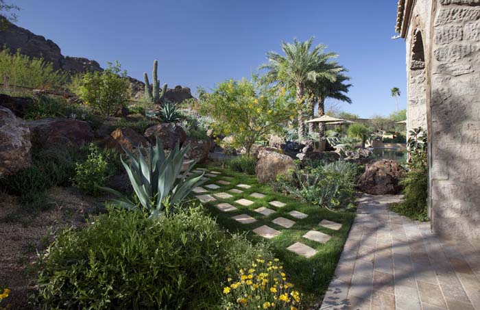 Garden Oasis #desertlandscaping #inexpensive #decorhomeideas