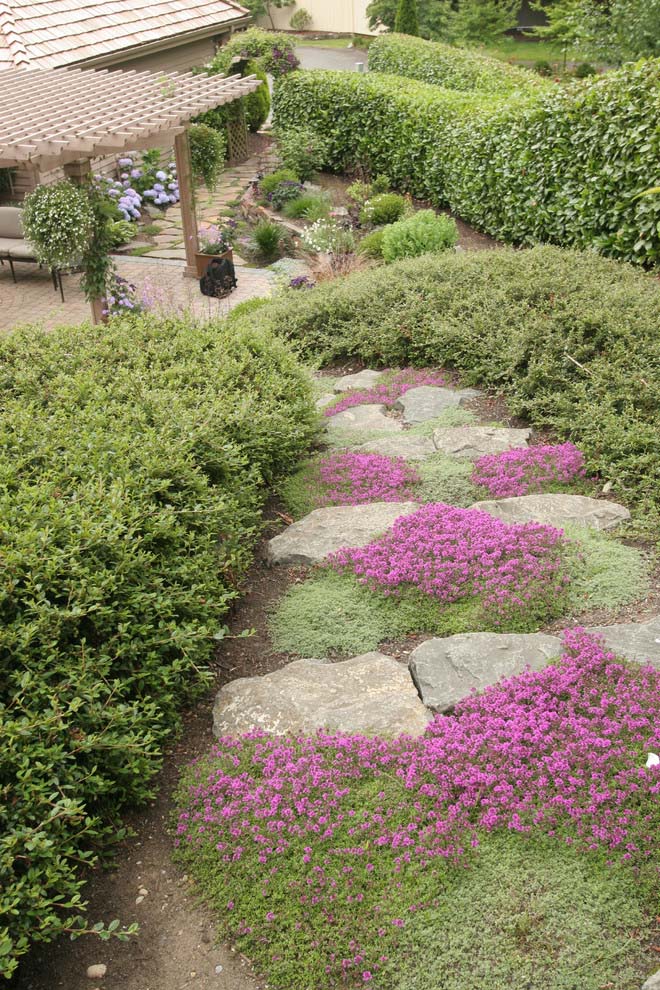 Ground Cover Path #hillsidelandscaping #budget #decorhomeideas