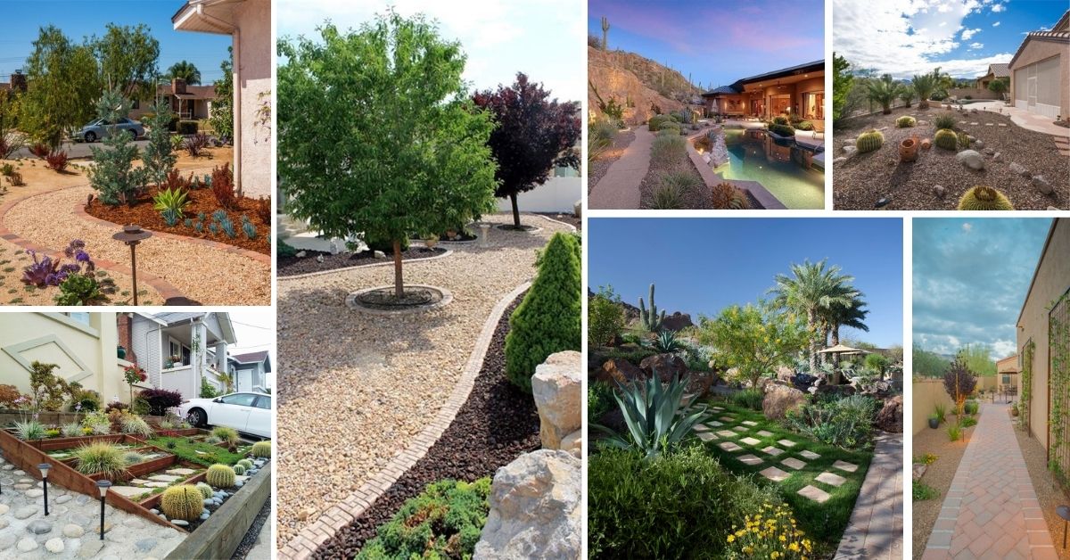 32 Inexpensive Desert Landscaping Ideas, Desert Landscaping Ideas Front Yard
