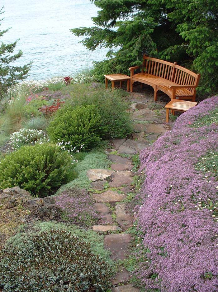 Plant Ground Cover #hillsidelandscaping #budget #decorhomeideas