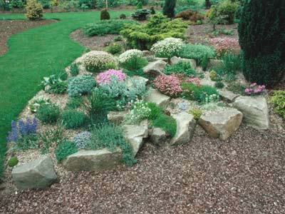 Plant on Boulders #smallcorner #rockgarden #decorhomeideas