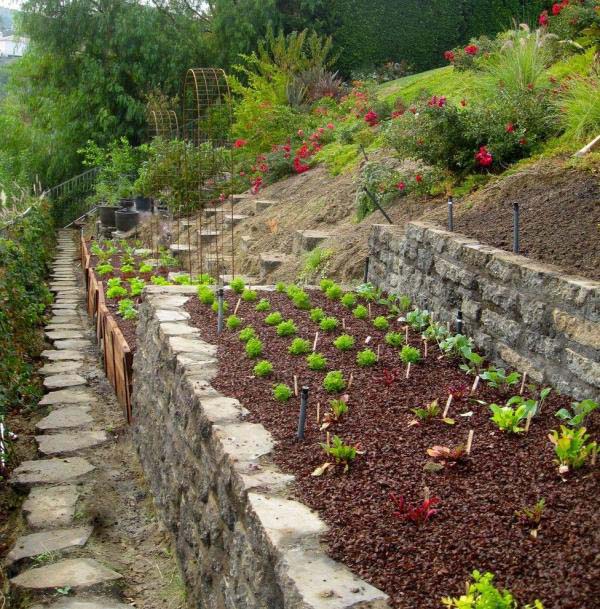 Raised Garden Beds #hillsidelandscaping #budget #decorhomeideas