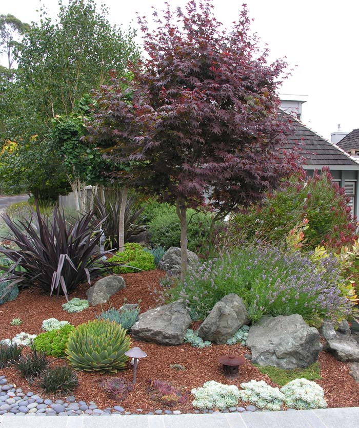 Rock Boulders and Succulents #rocksr #mulch #landscaping #decorhomeideas