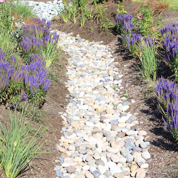 Rock Ditch Landscaping #drainage #frontyard #landscaping #decorhomeideas