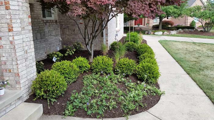 Simple Garden With Mulch and Small Shrubs #rocksr #mulch #landscaping #decorhomeideas