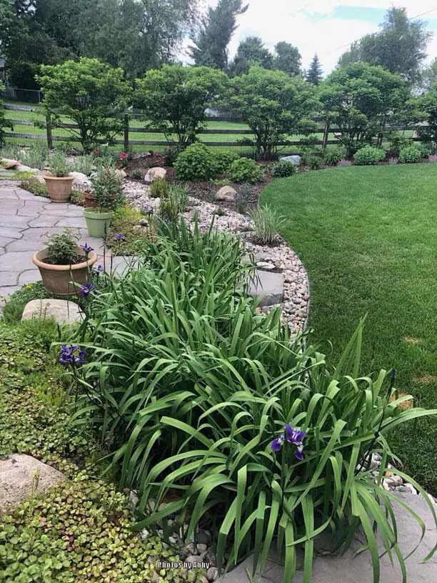 Use Plants To Disguise Your Drain #drainage #frontyard #landscaping #decorhomeideas