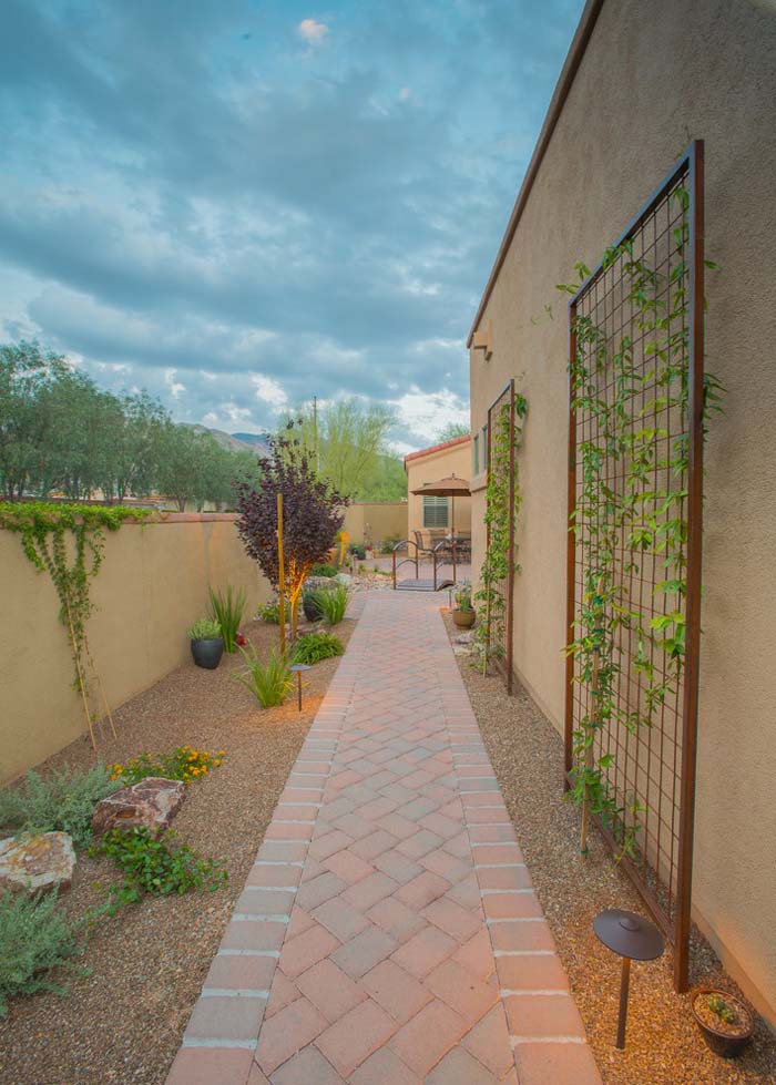 Walkways and Vines #desertlandscaping #inexpensive #decorhomeideas