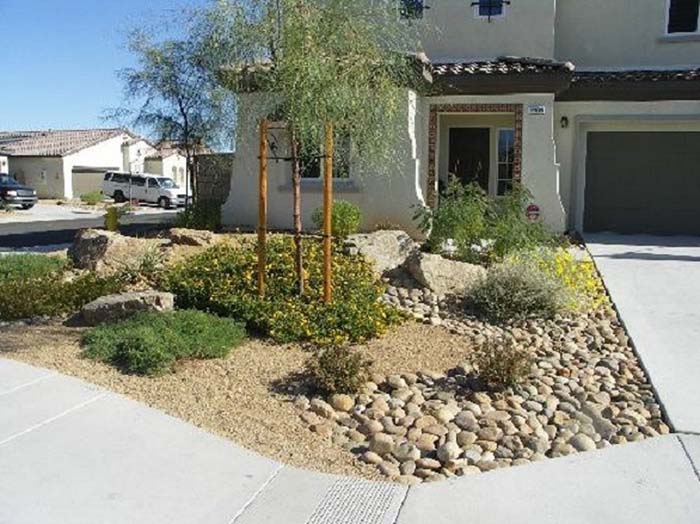 Yellow Wildflowers #desertlandscaping #inexpensive #decorhomeideas