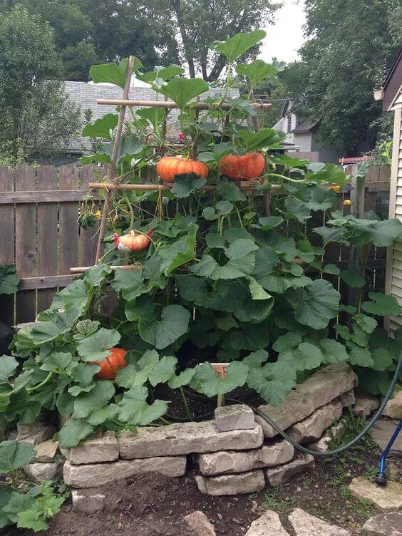 A Rock Raised Garden Bed #rocks #garden #decorhomeideas