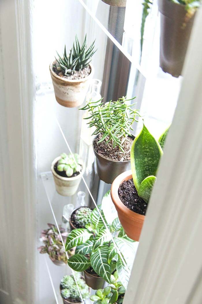 Crystal Clear Sunny Place for your Plants #floatingshelf #organization #decorhomeideas