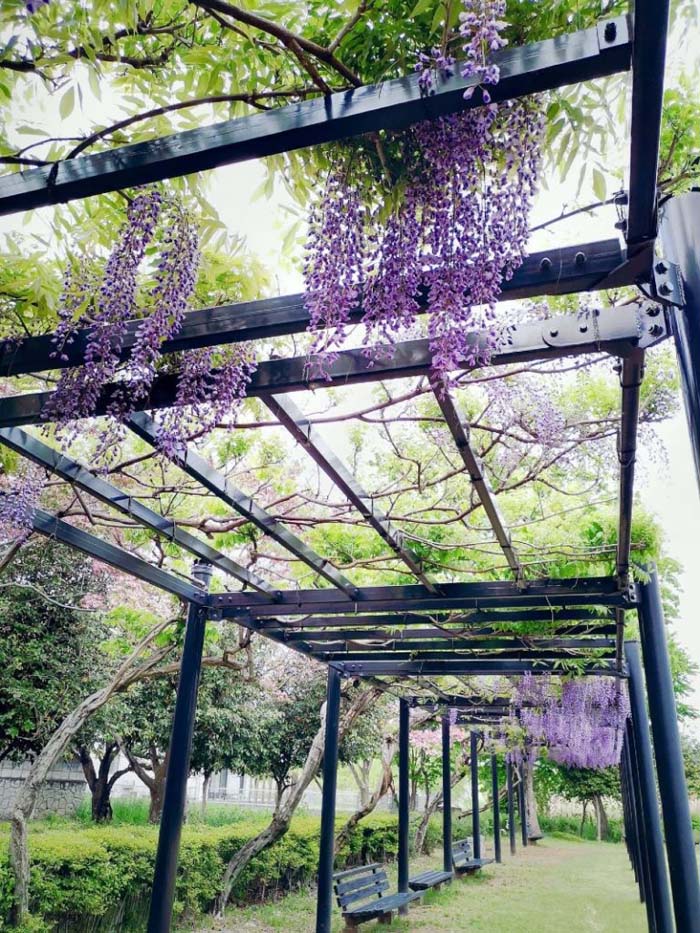 Do an Outdoor Grotto with A Pergola and Climbing Plants? #coveredpatio #pergola #decorhomeideas