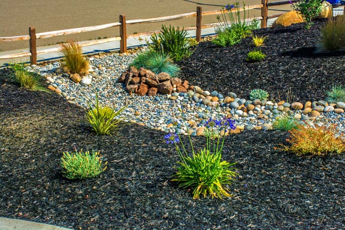 Drought-Tolerant Front Yard Black Mulch Landscaping #blackmulch #landscaping #decorhomeideas