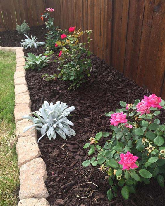 Every Plant Benefits From Mulch #blackmulch #landscaping #decorhomeideas