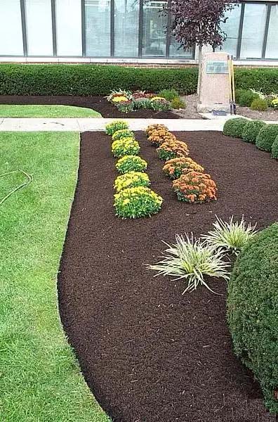 Finely Shredded Mulch in a Formal Garden #blackmulch #landscaping #decorhomeideas