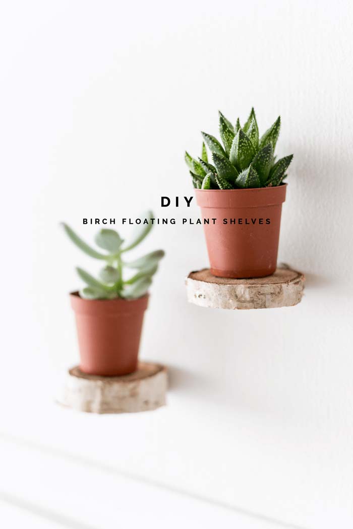 Floating Planters on a Birch Base #floatingshelf #organization #decorhomeideas