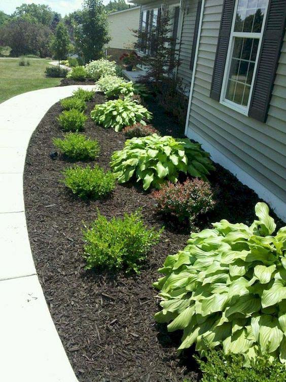 Mulch Substitutes for Ground Cover #blackmulch #landscaping #decorhomeideas