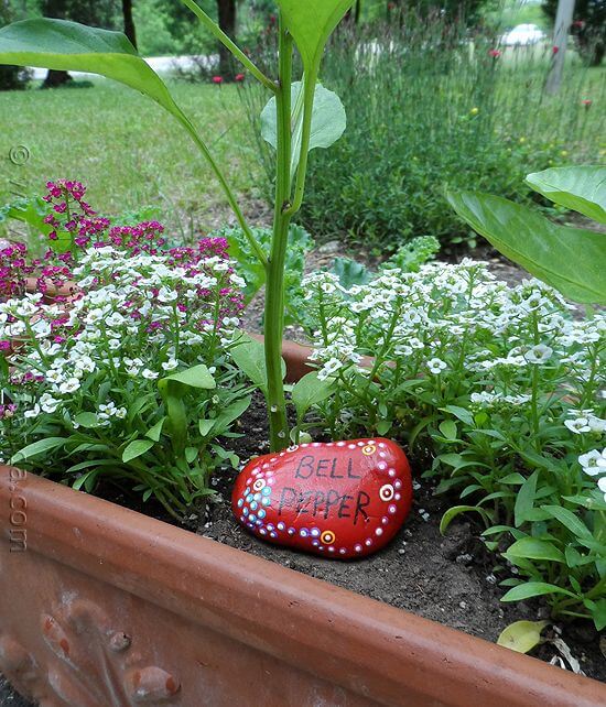 Painted Rock Garden Markers #rocks #garden #decorhomeideas