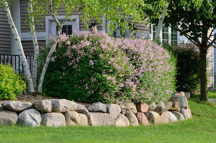 Retaining Wall Landscaping Rocks