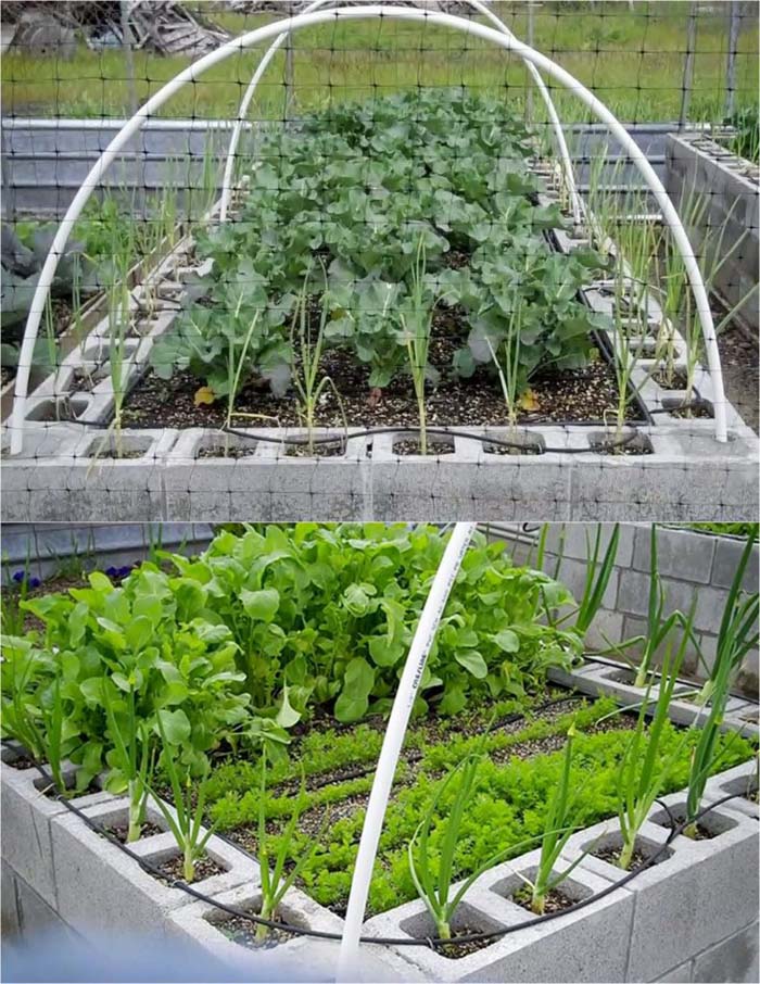 Simple Raised Garden Bed With Cheap Cinder Blocks #decorhomeideas