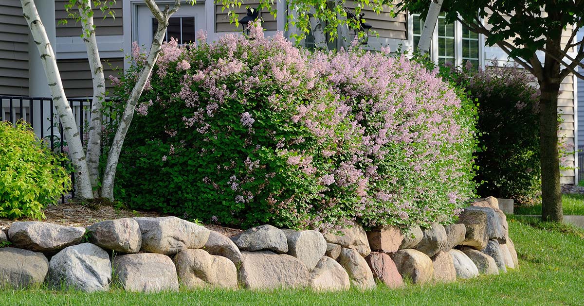 Types Of Landscaping Rocks
