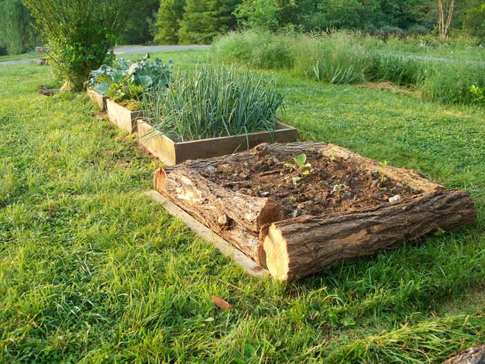 Use Inexpensive Or Free Materials To Build Your Raised Bed Gardens #decorhomeideas