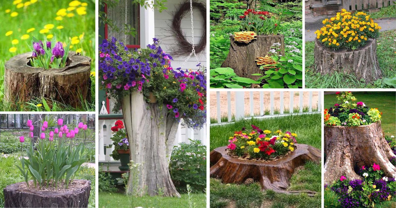 Tree Stump Planter Ideas