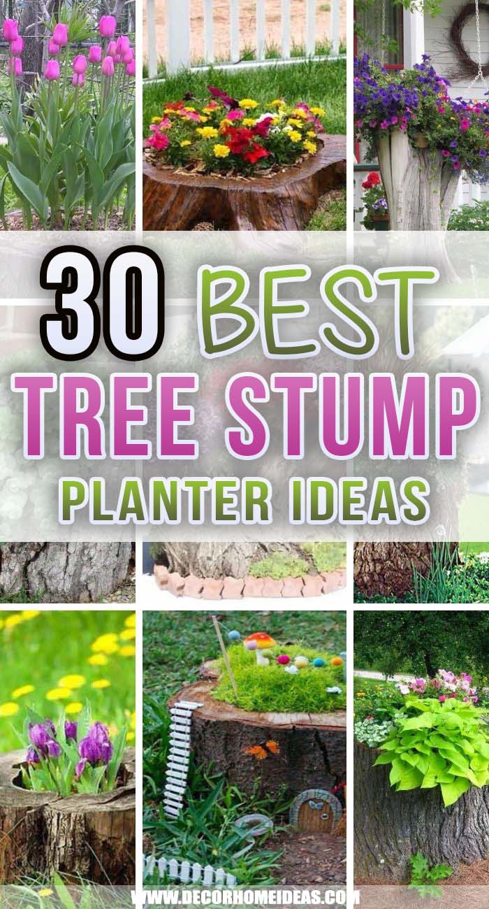 Best Tree Stump Planter Ideas. If you are not sure what to do with the old tree stump left in your garden we have some amazing tree stump planter ideas that will turn the trunk into a blooming mini garden. #decorhomeideas