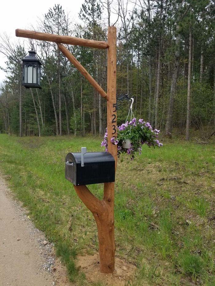 Branch Mailbox with Lamp Accent #decorhomeideas