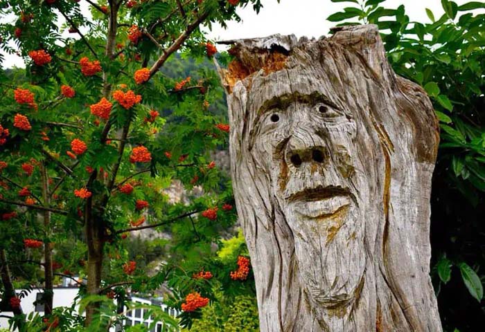 Carved Tree Surface #decorhomeideas