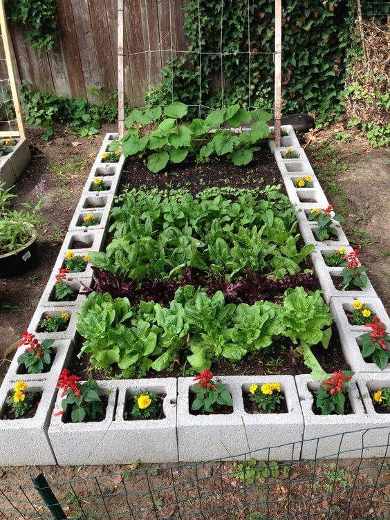 Cinder Block Raised Garden Bed #decorhomeideas