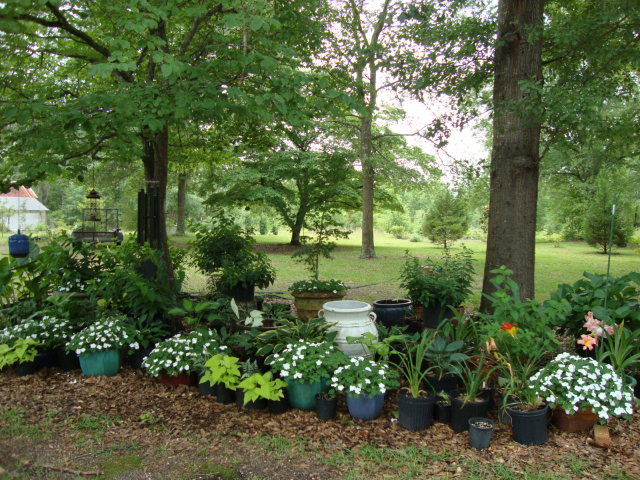 Container Gardening Is A Great Alternative