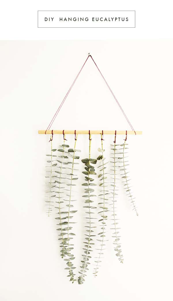 Delicate Wall Hanging with Greenery Leaves #decorhomeideas