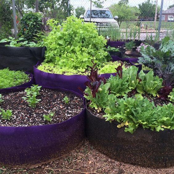 Fabric Raised Garden Bed #decorhomeideas