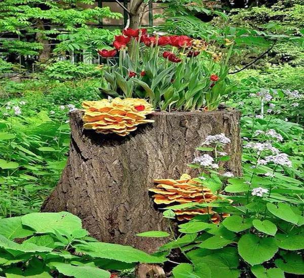 Fresh Fungus Feature #decorhomeideas