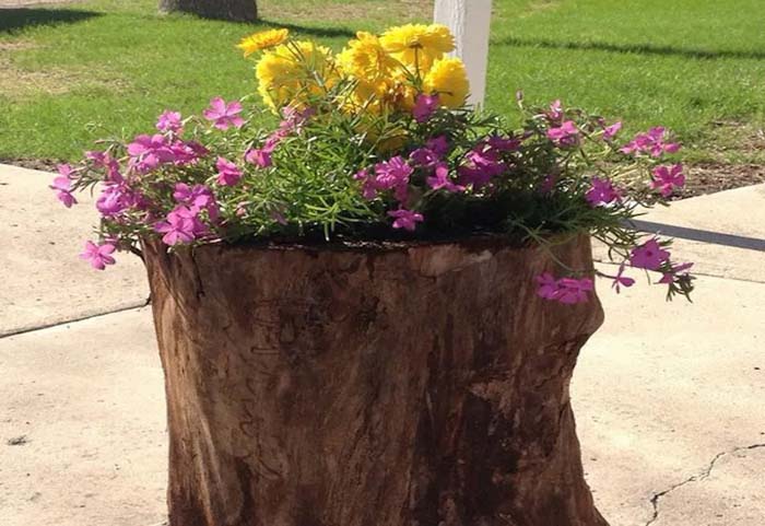 Natural Moveable Stump #decorhomeideas