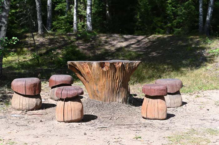 Repurpose A Tree Stump For A Table #decorhomeideas