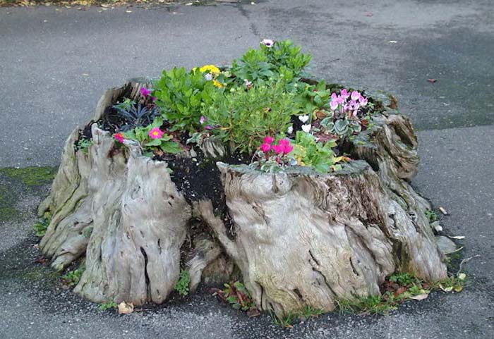 Rotting Wicked Tree Stump #decorhomeideas