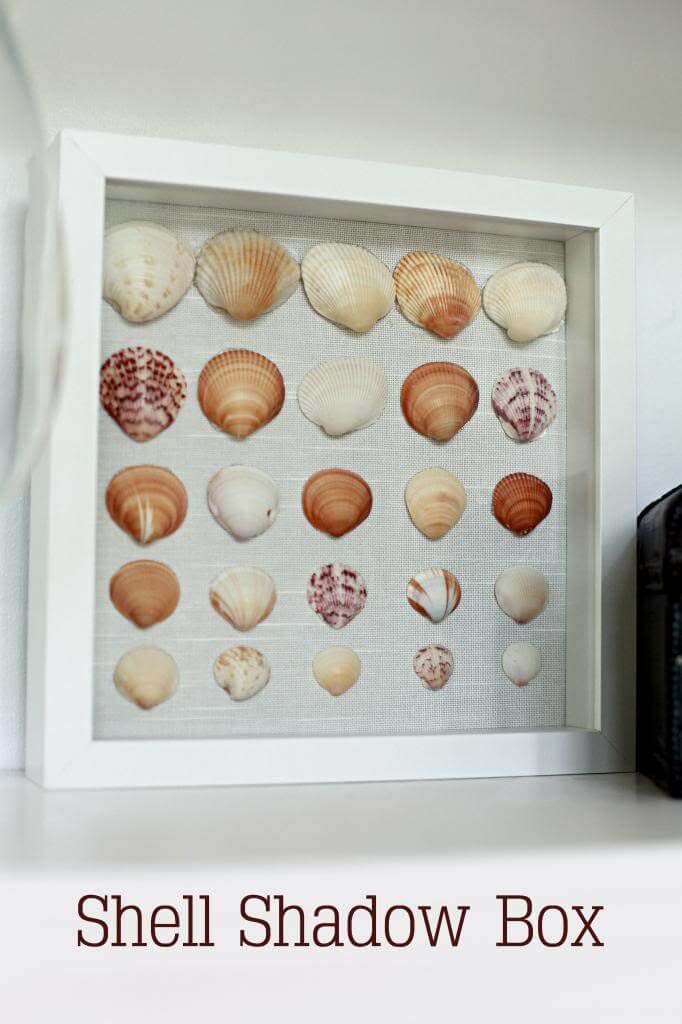 Shadow Box with Beautiful Scallop Shells #decorhomeideas