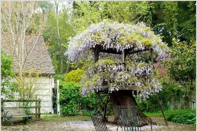 Stump House #decorhomeideas