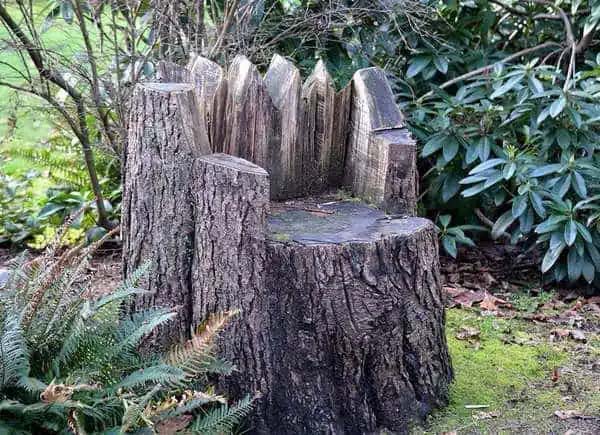 Stump Throne #decorhomeideas