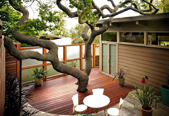 Tree Deck #decorhomeideas