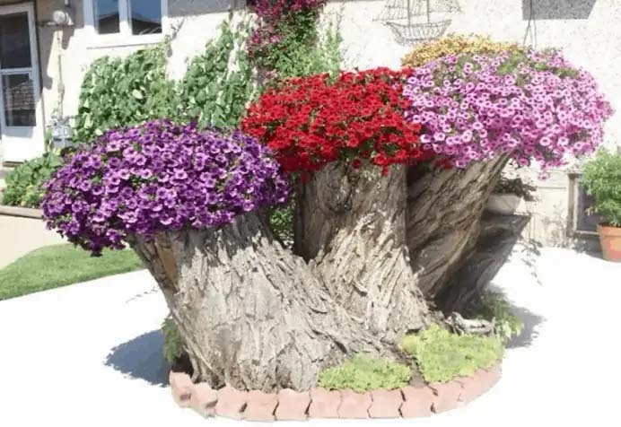 Twisted Tree Stump Planter #decorhomeideas