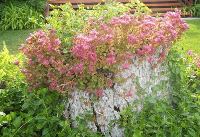 White Painted Stump #decorhomeideas