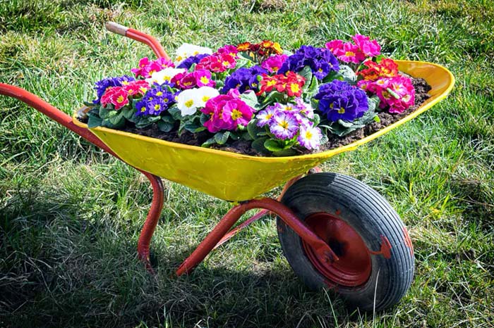 A Bright and Colorful Wheelbarrow Planter #decorhomeideas