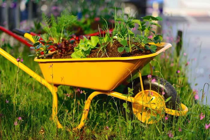 A Bright, Mini Wheelbarrow for Small Blooms #decorhomeideas