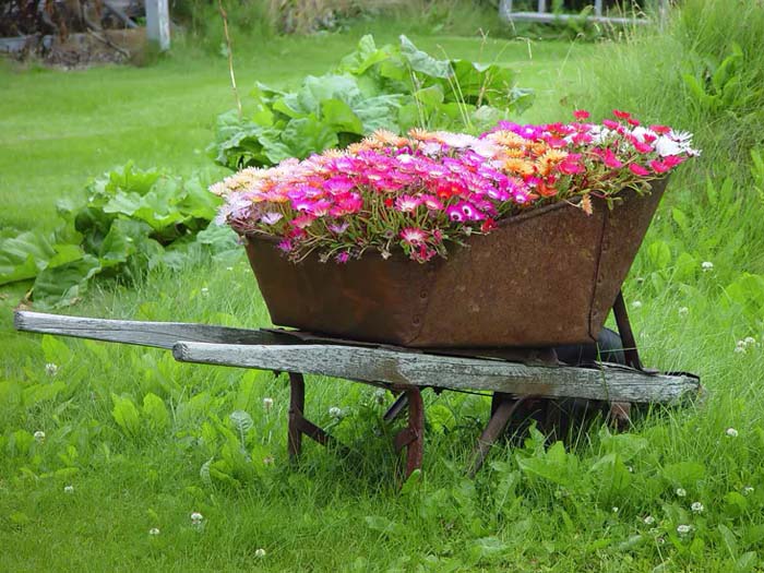 A Rustic Wheelbarrow for a Large Lawn #decorhomeideas