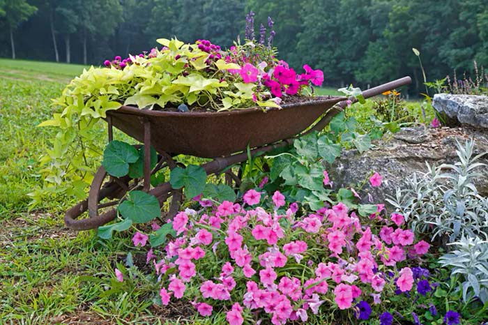 A Shallow Wheelbarrow for Colorful Blooms #decorhomeideas