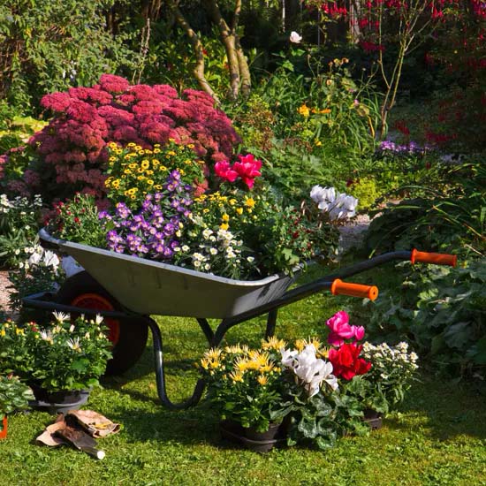 A Wheelbarrow Planter for Vertical Options #decorhomeideas