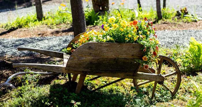 An Old, Wooden Wheelbarrow Planter #decorhomeideas