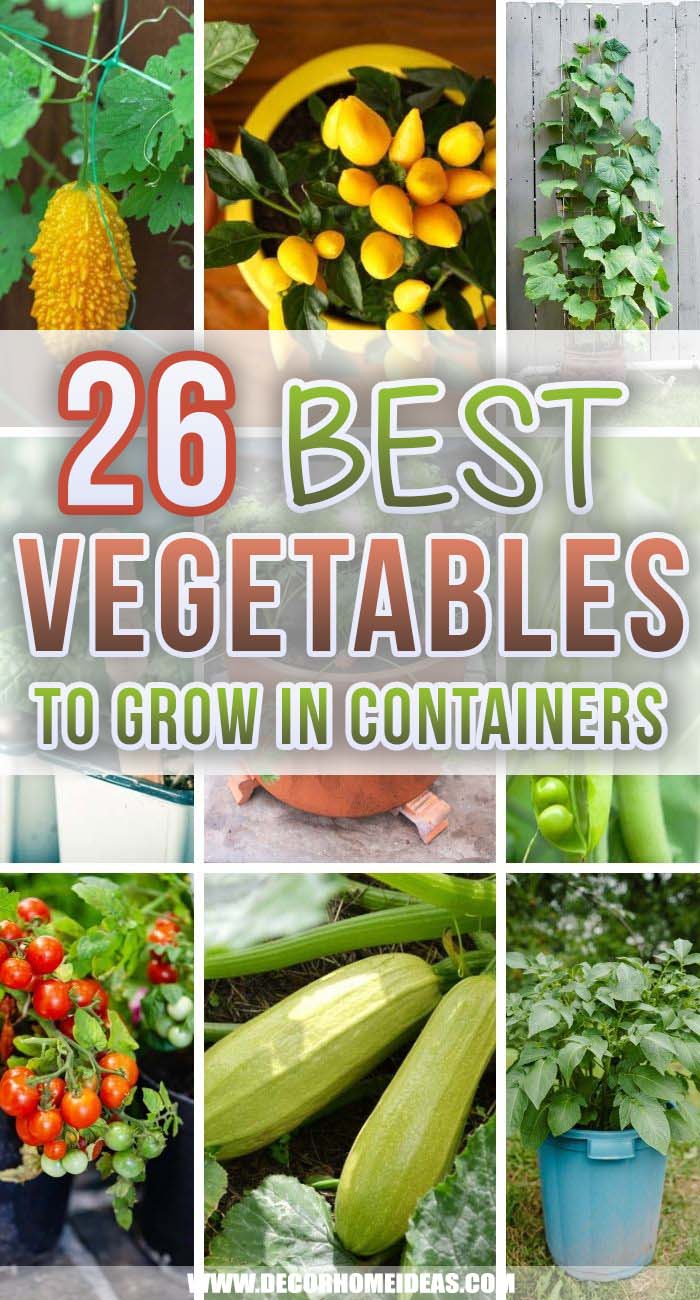 Best Vegetables To Grow In Pots And Containers. You do not need a garden or lots of space to grow vegetables. Take a look at the 26 most productive vegetables that can grow in pots or containers, including potatoes, tomatoes, and peas. #decorhomeideas